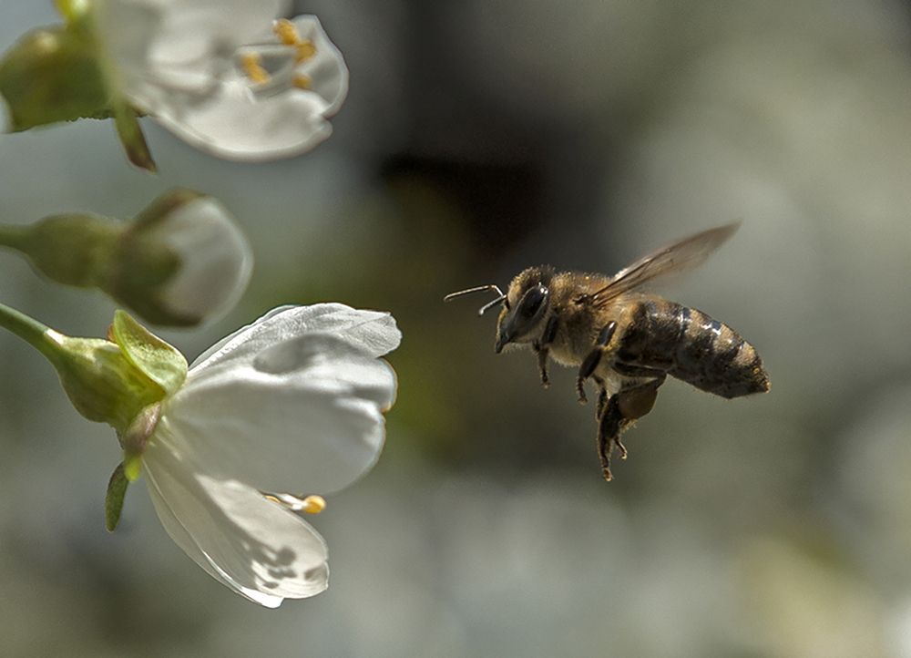 Photograph by Ольга Дядченко