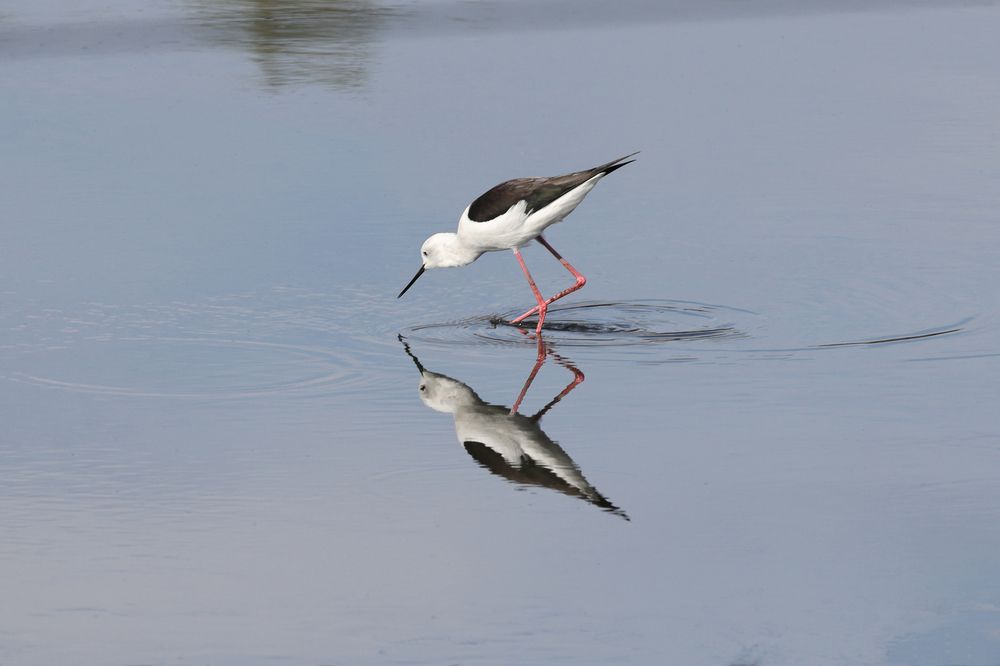 Photograph by pavel chtein