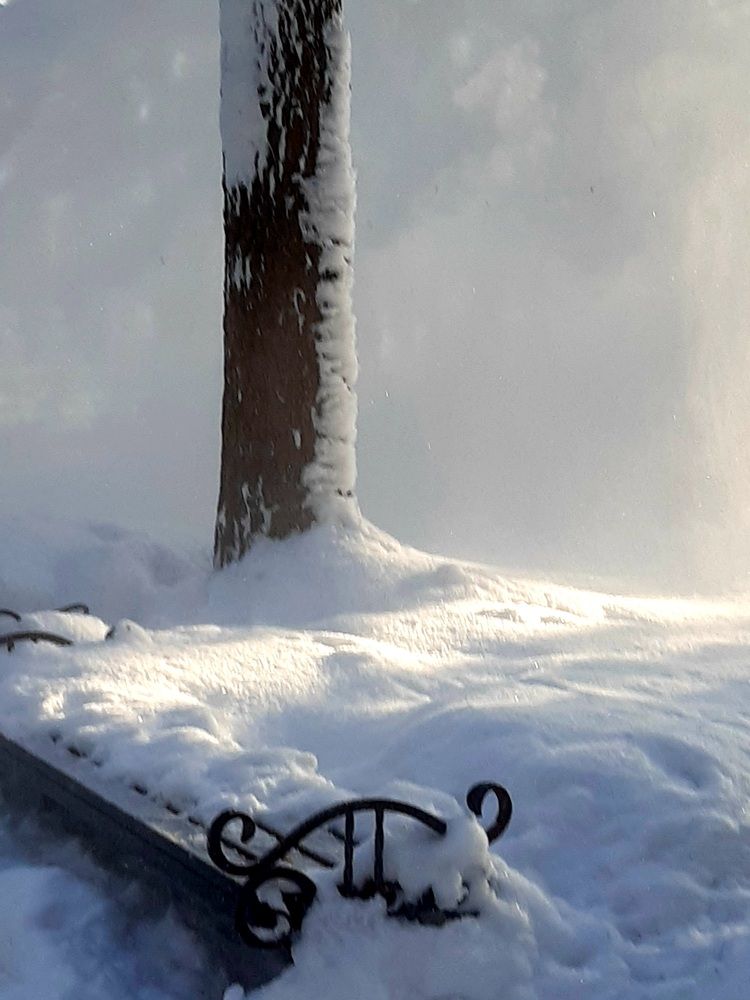 Мобильная фотография.