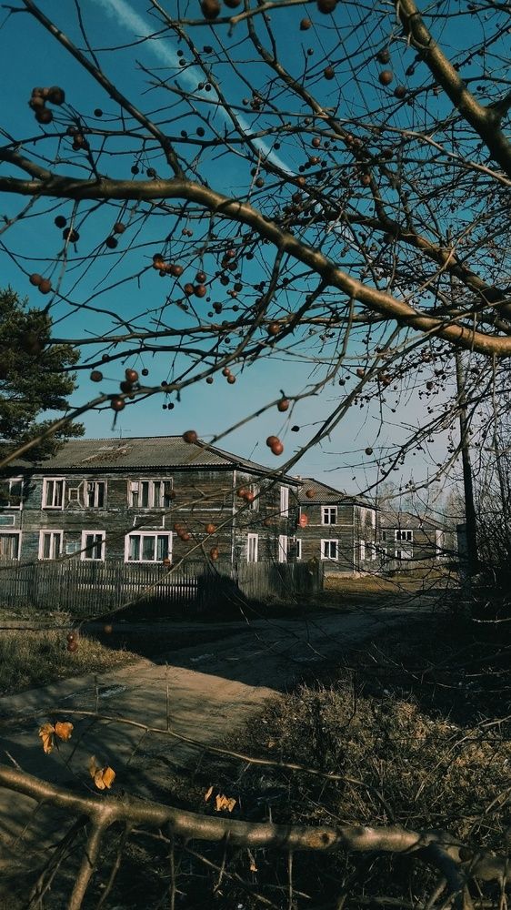 Фотография автора Есения Малышева