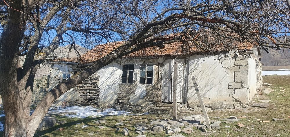 Photograph by Mahir Akhmadov