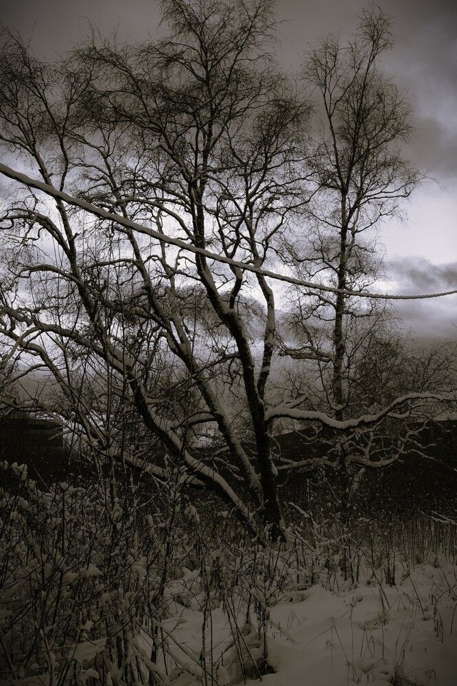 Photograph by Andrei Baburin