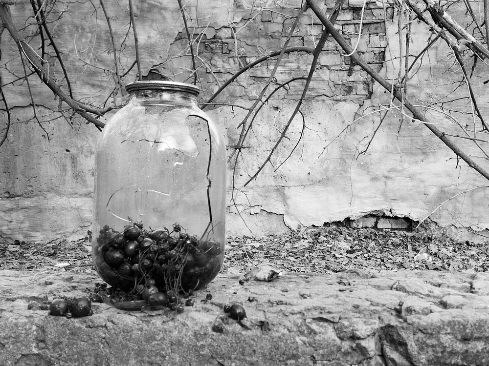 Photograph by Дмитрий Давидов