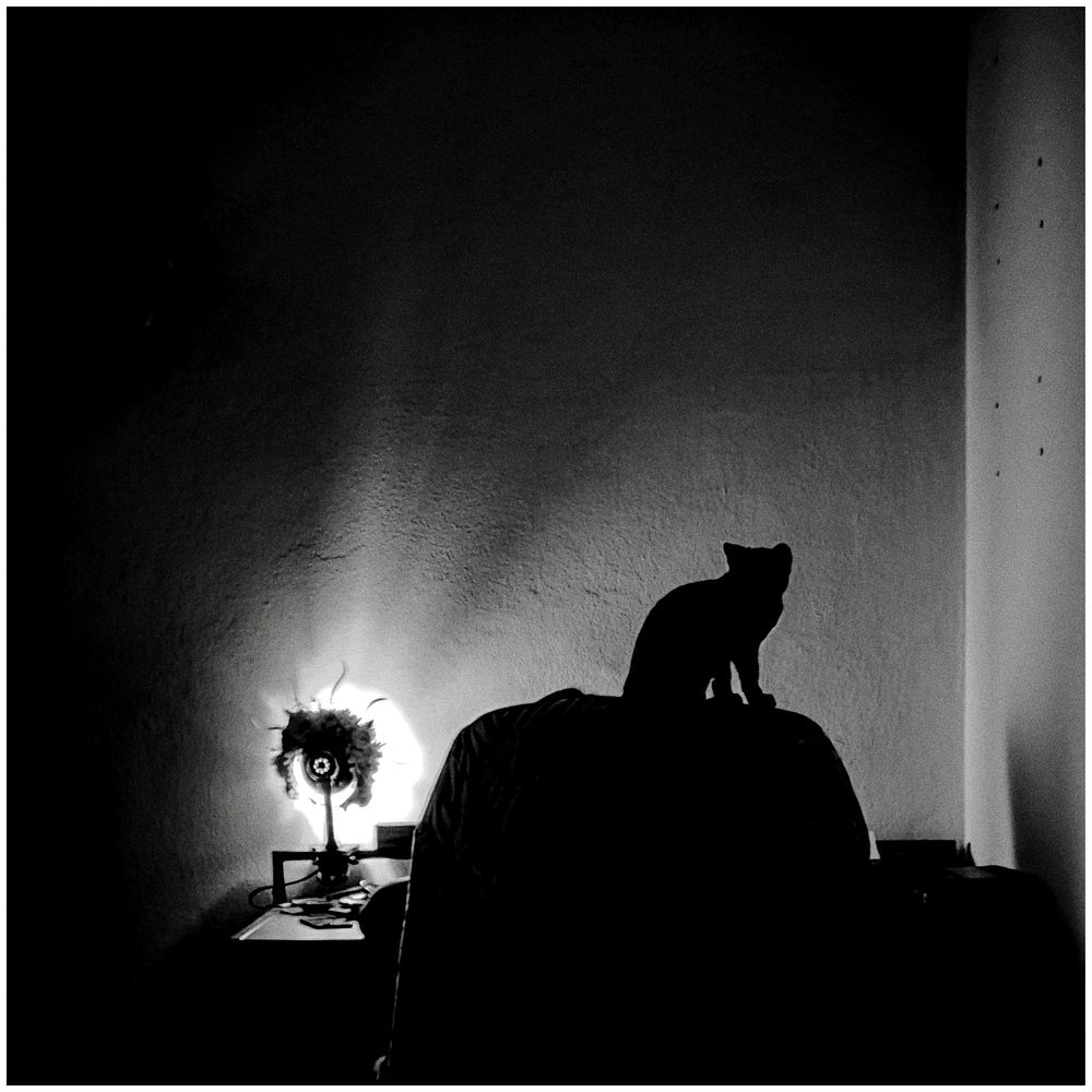 Фотография автора Minja Jovetic