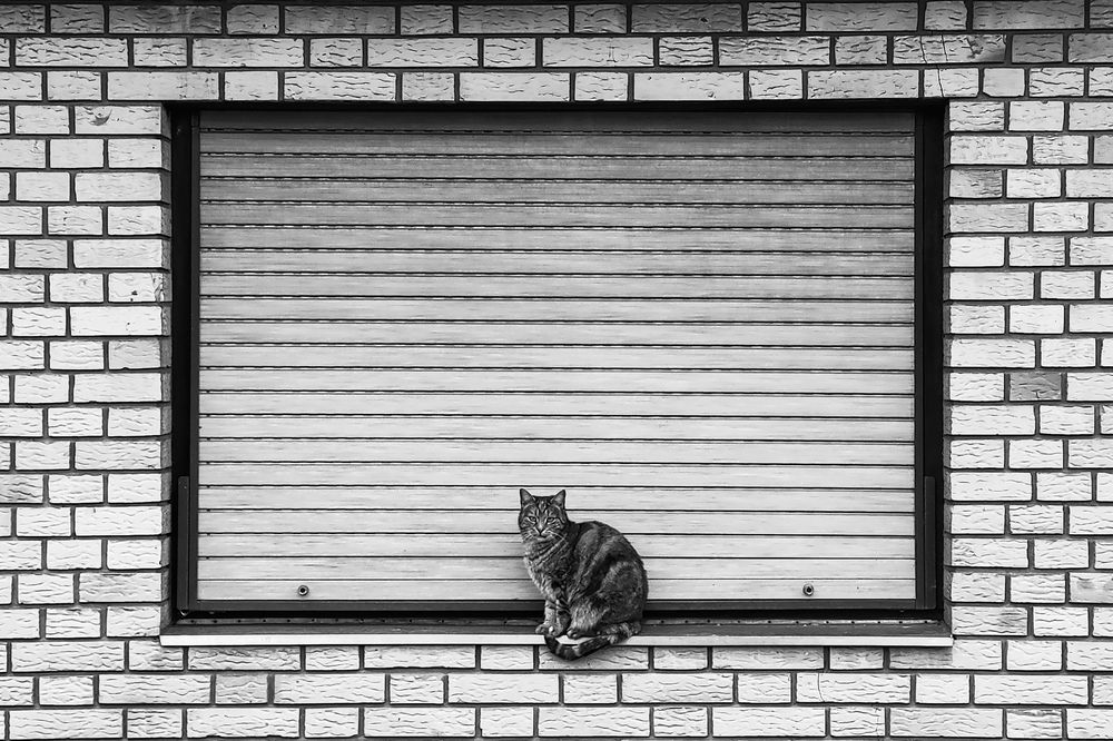 Фотография автора Minja Jovetic