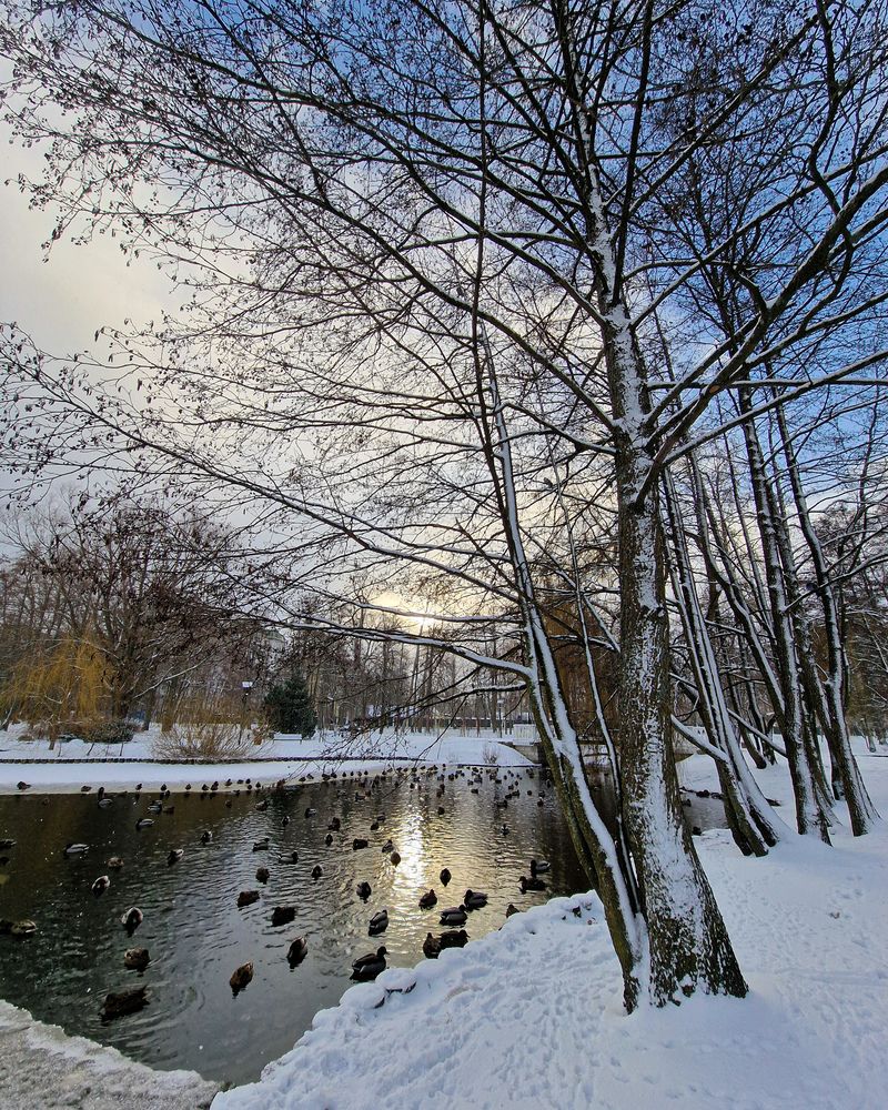 Первый снег