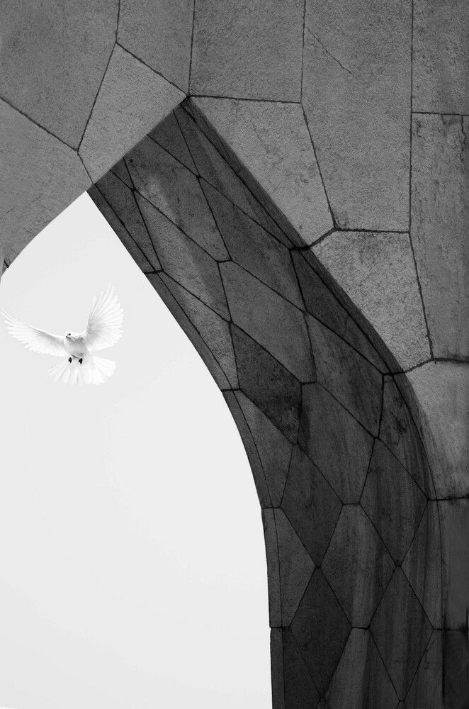 Photograph by Ava Nasiri