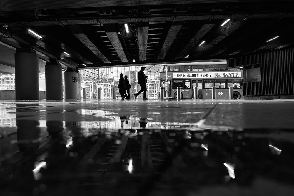 Фотография автора OVIDIU-IOAN TICU