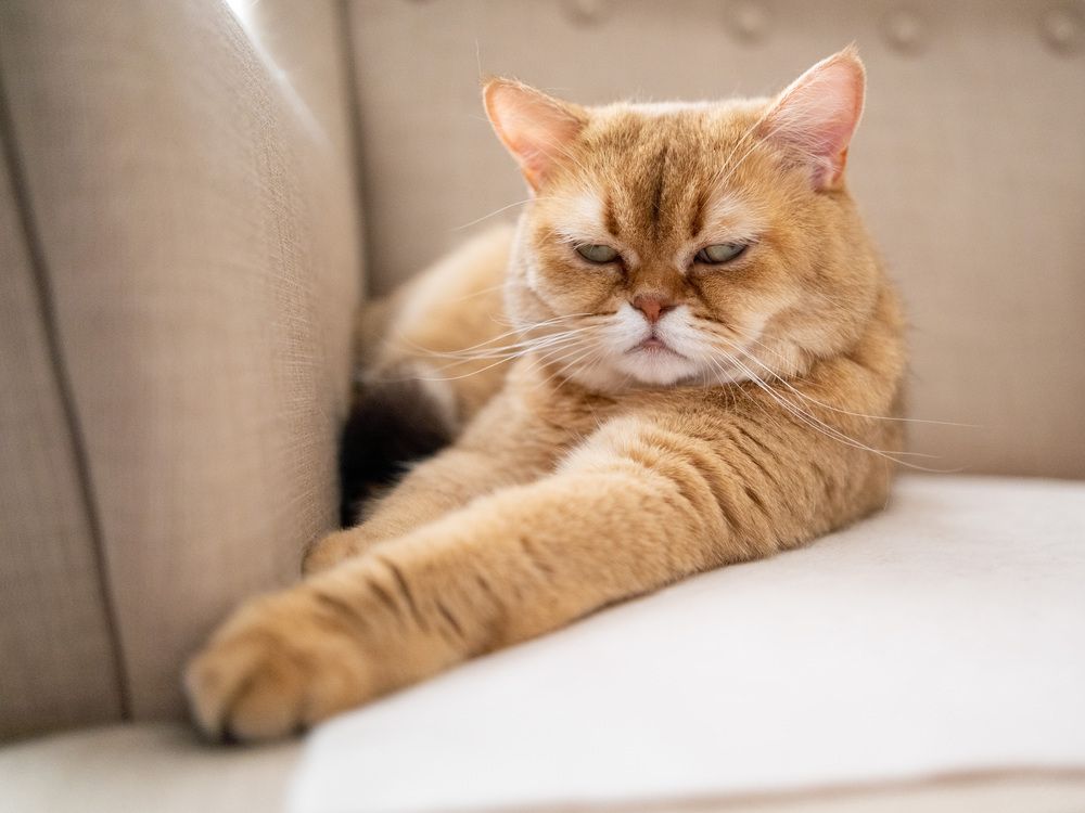 Photograph by Олег Дорошенко