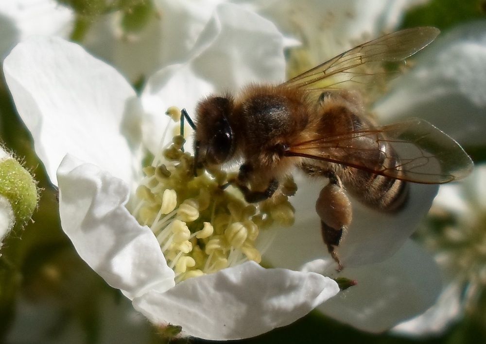 Photograph by Михаил Сербаев