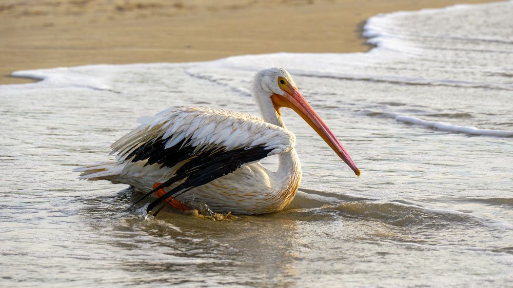 Photograph by Вячеслав Белов