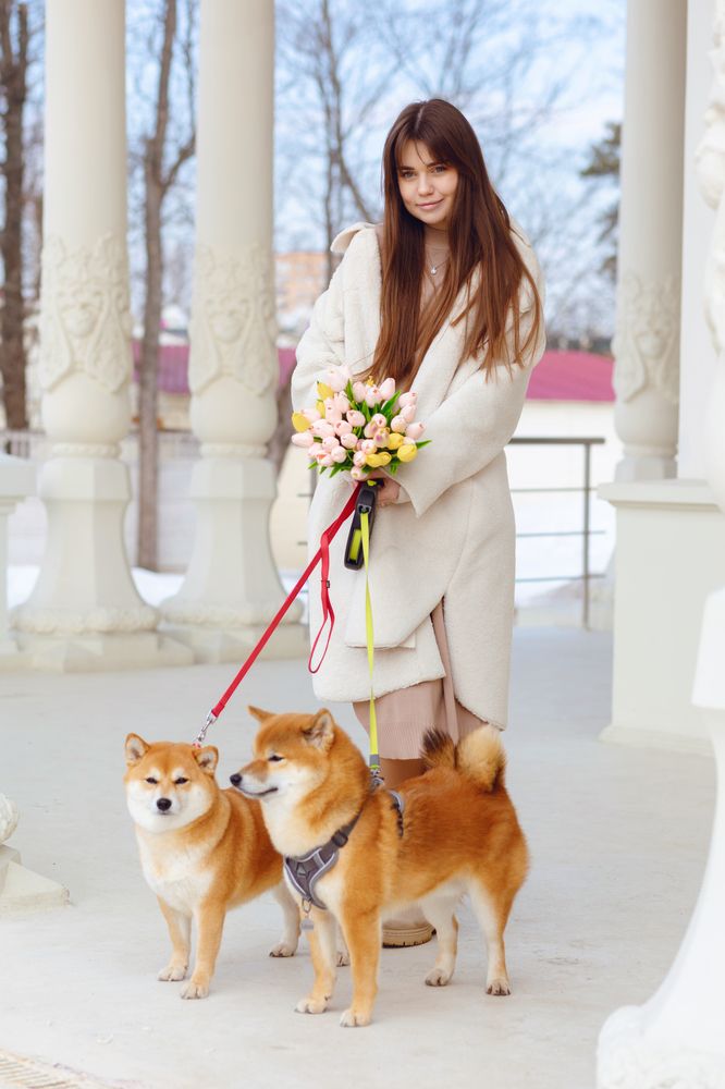 Photograph by Светлана Подгайская