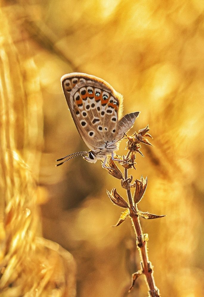 Photograph by Наталья Исиченко