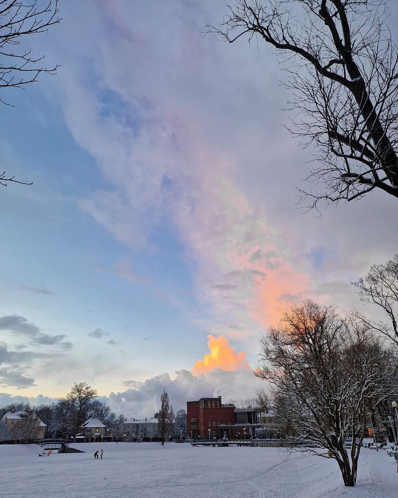 Краски зимы