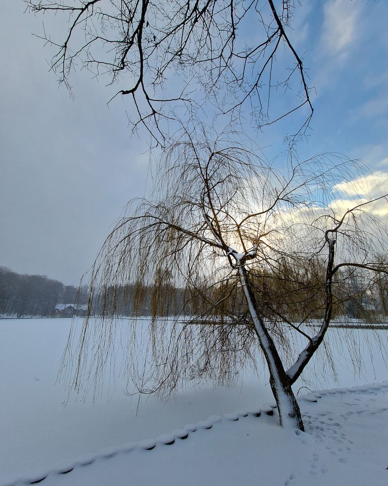 Зимняя сказка