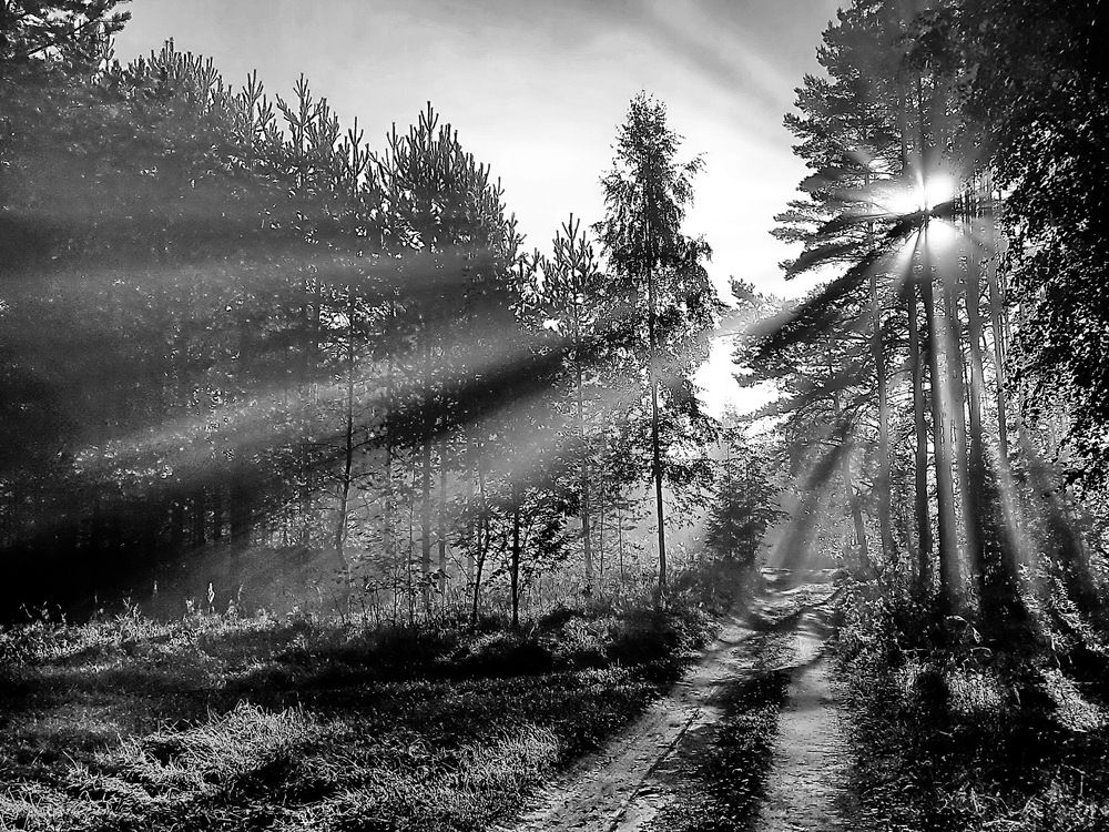 Photograph by Александр Лазебник