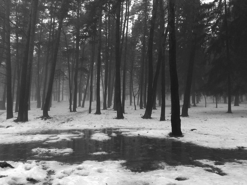 Фотография автора Борис Журавлёв