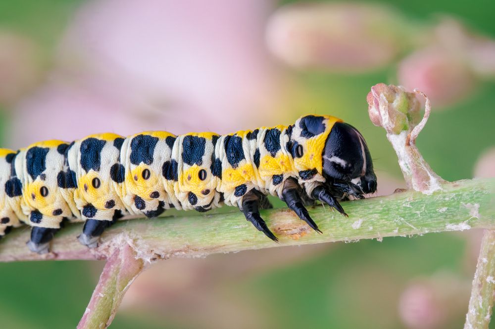 Photograph by Ольга Таланцева