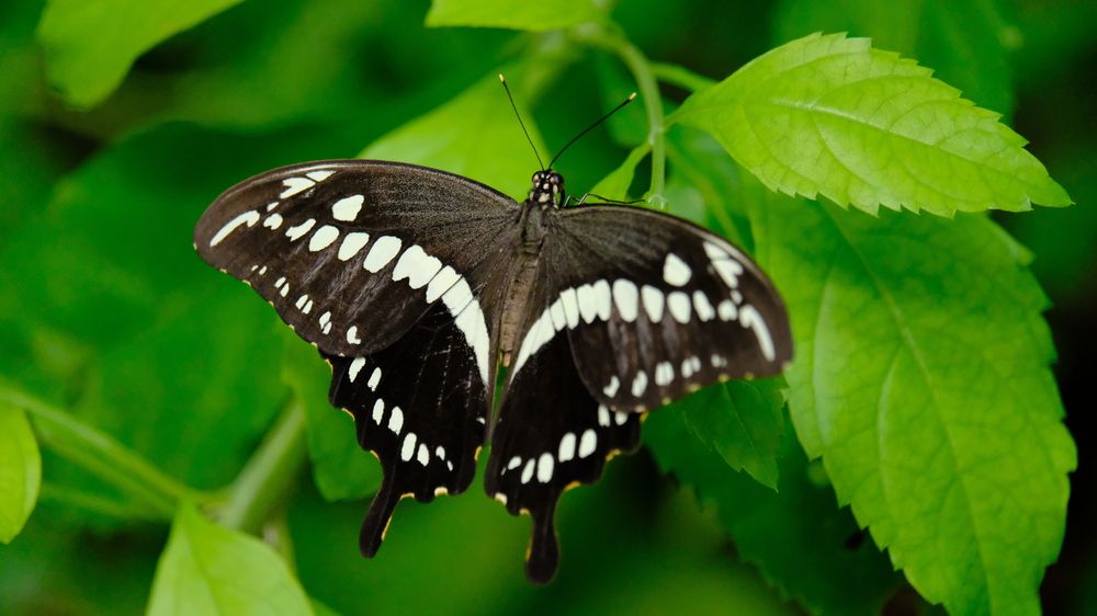 Photograph by Effie Zacharia