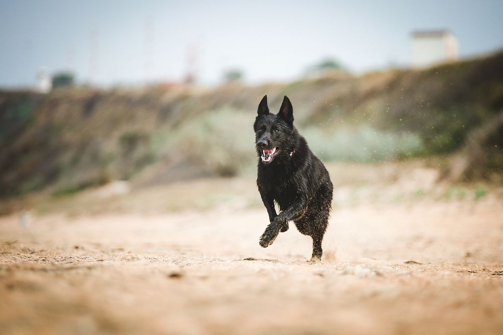 Photograph by Настасья Андреевна