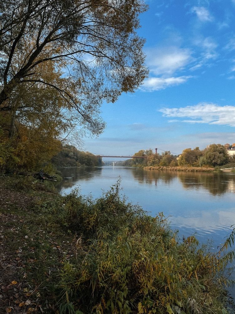 Фотография автора Ольга Каминская