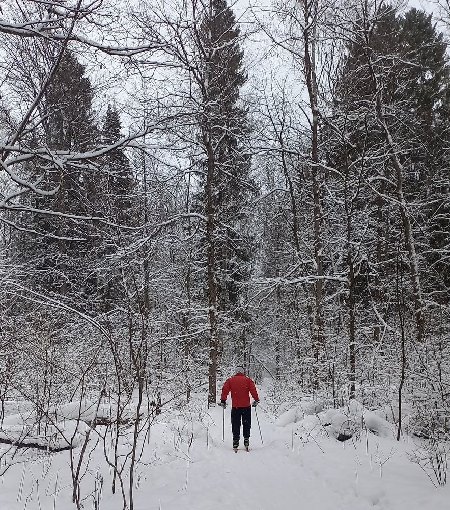 Photograph by Ivanova Ekaterina