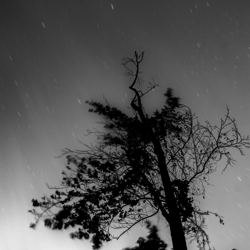 Photograph by Tomasz Dunajski