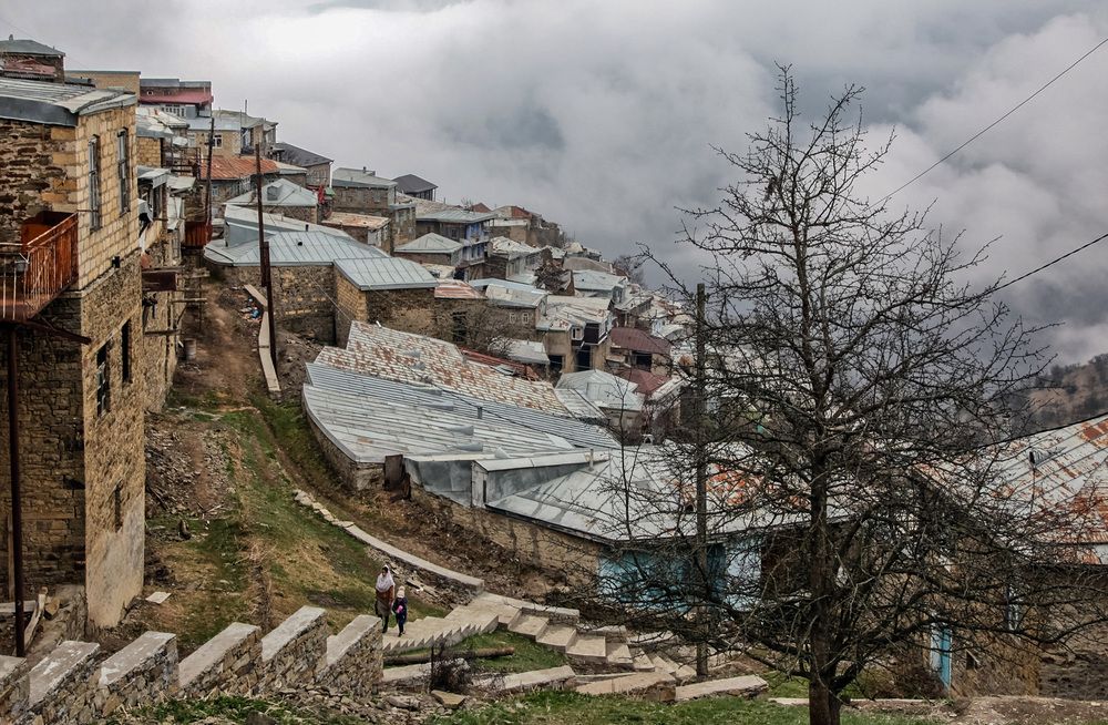 Фотография автора Ольга Виноградова