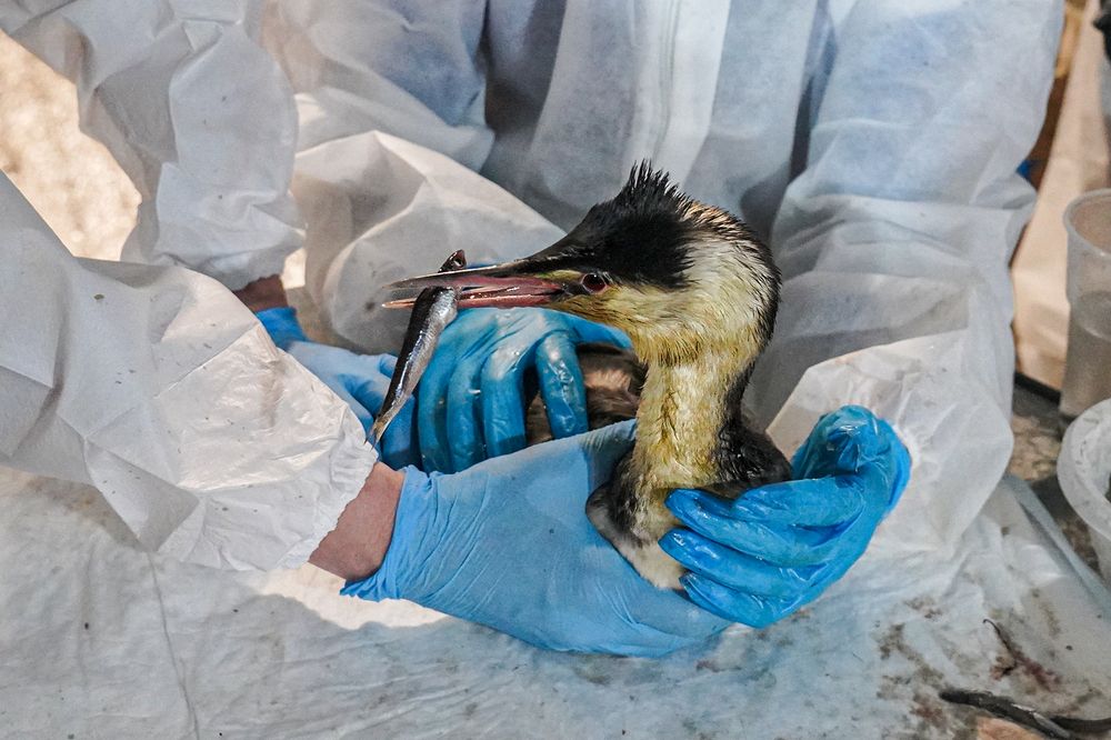 Photograph by Анна Кравец