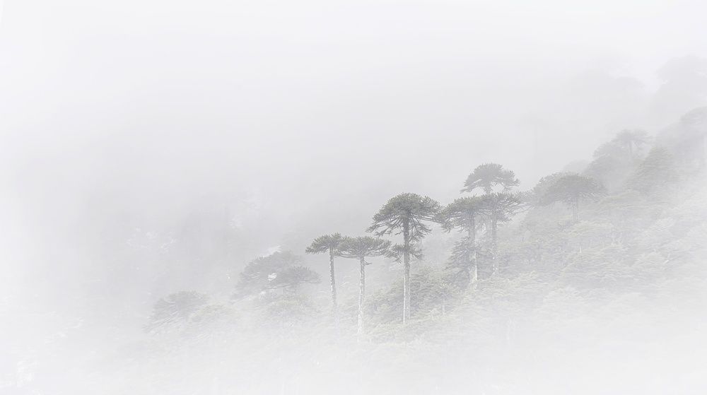 Photograph by Eduardo Modolo