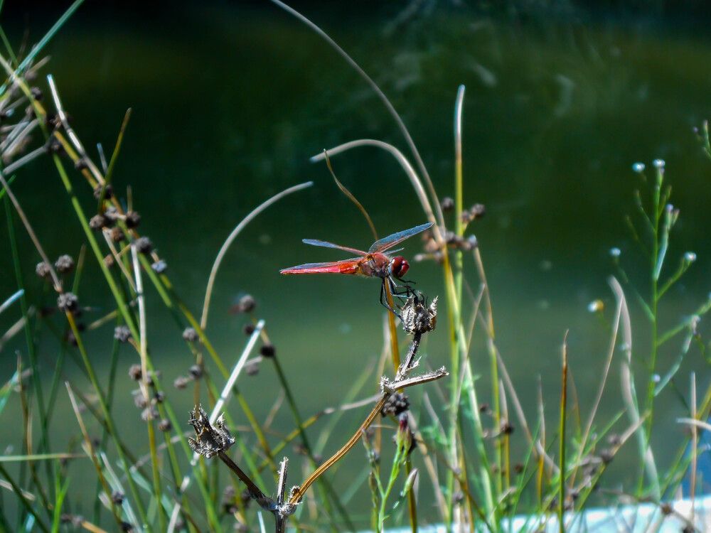 Photograph by Ana Morais