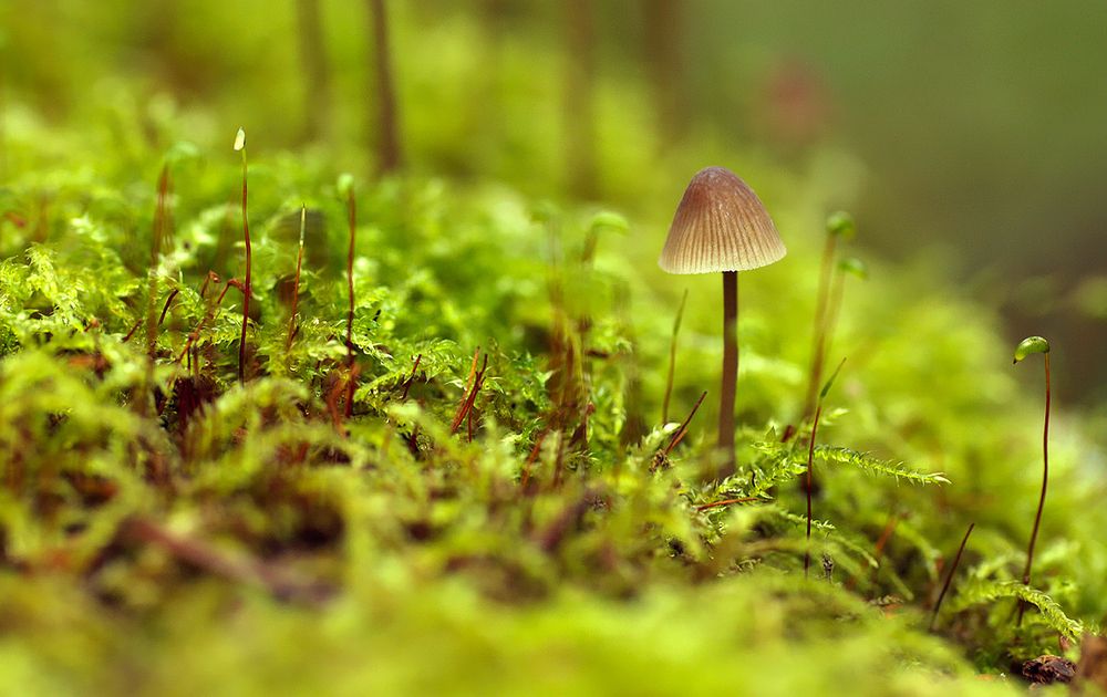 Photograph by Заболотская Ольга