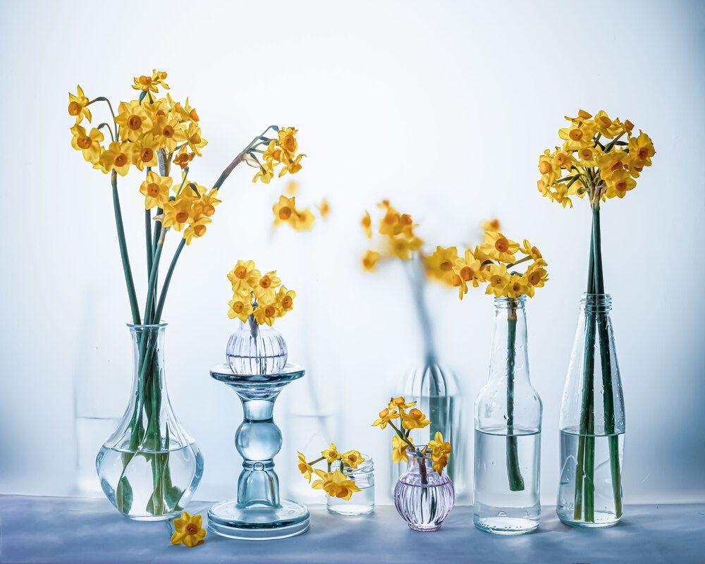 Photograph by Анастасия Тимарг