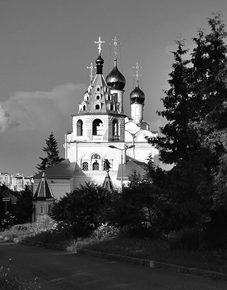 Фотография автора Дмитрий Лазаренко