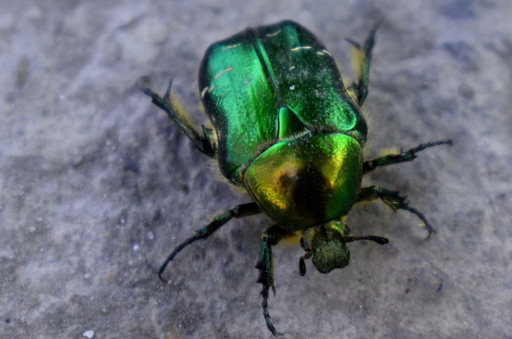 Photograph by  Татьяна Дорожко