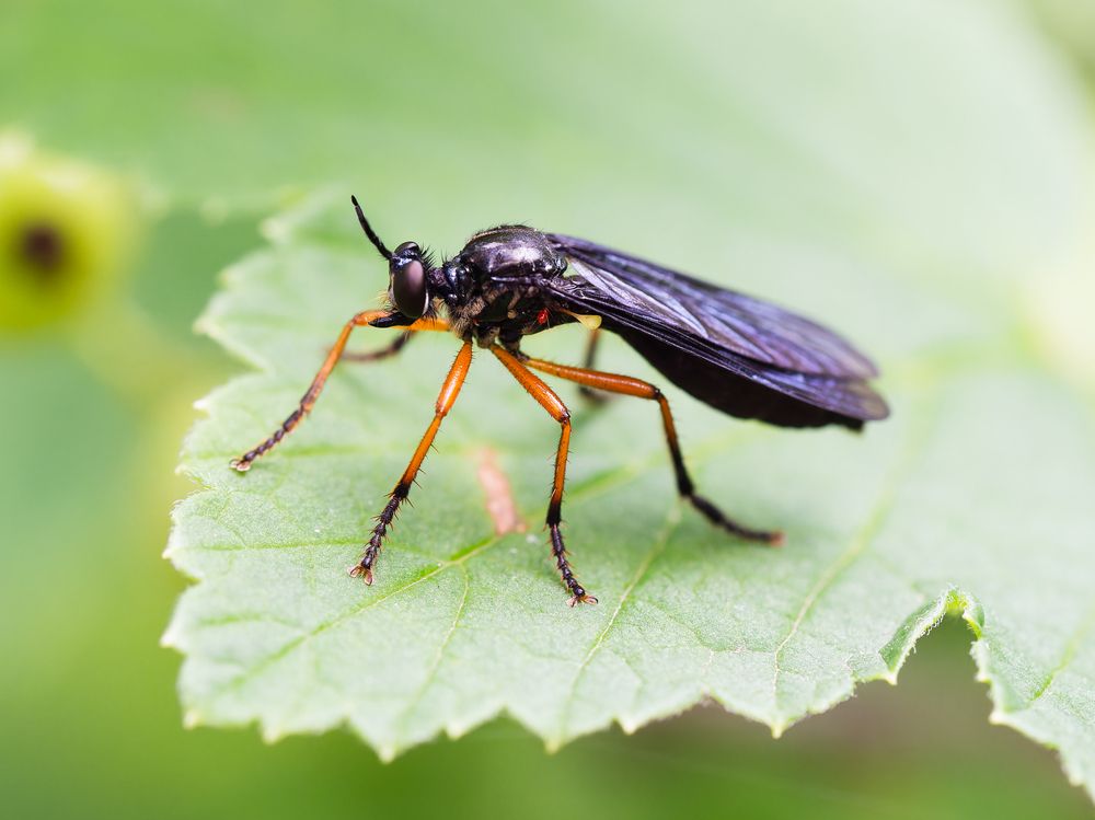 Фотография автора Татаринов Валерий