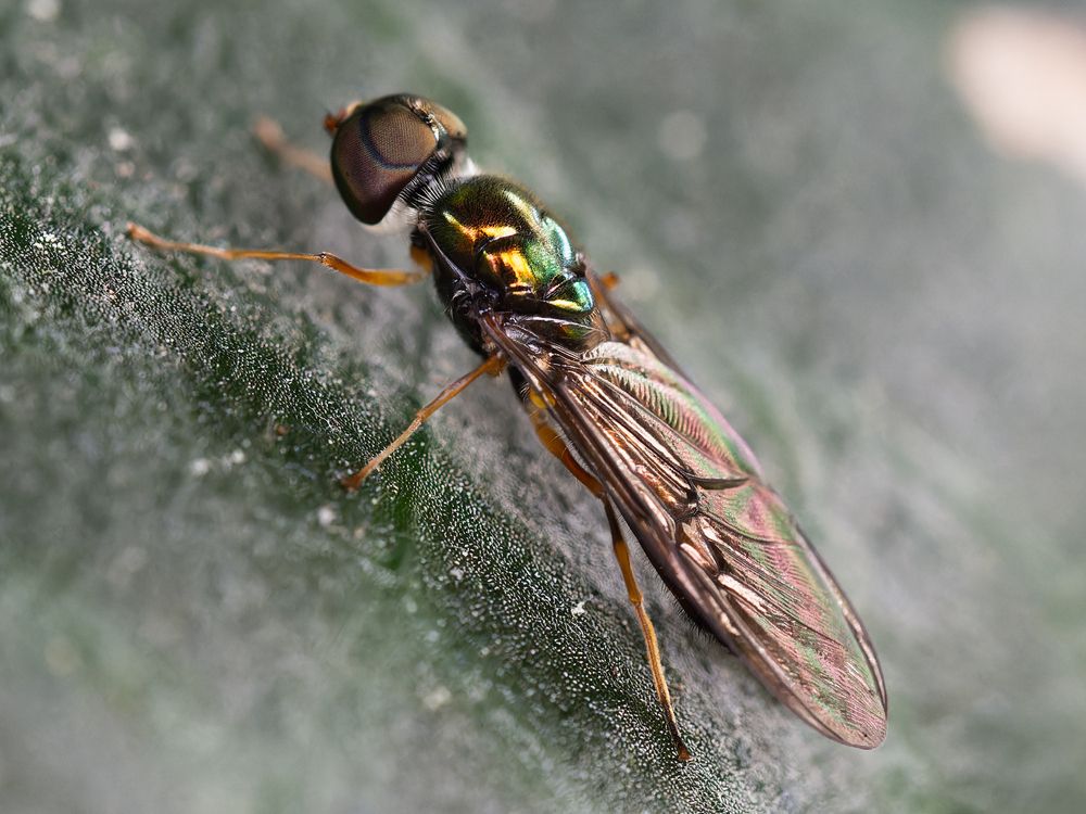 Фотография автора Татаринов Валерий