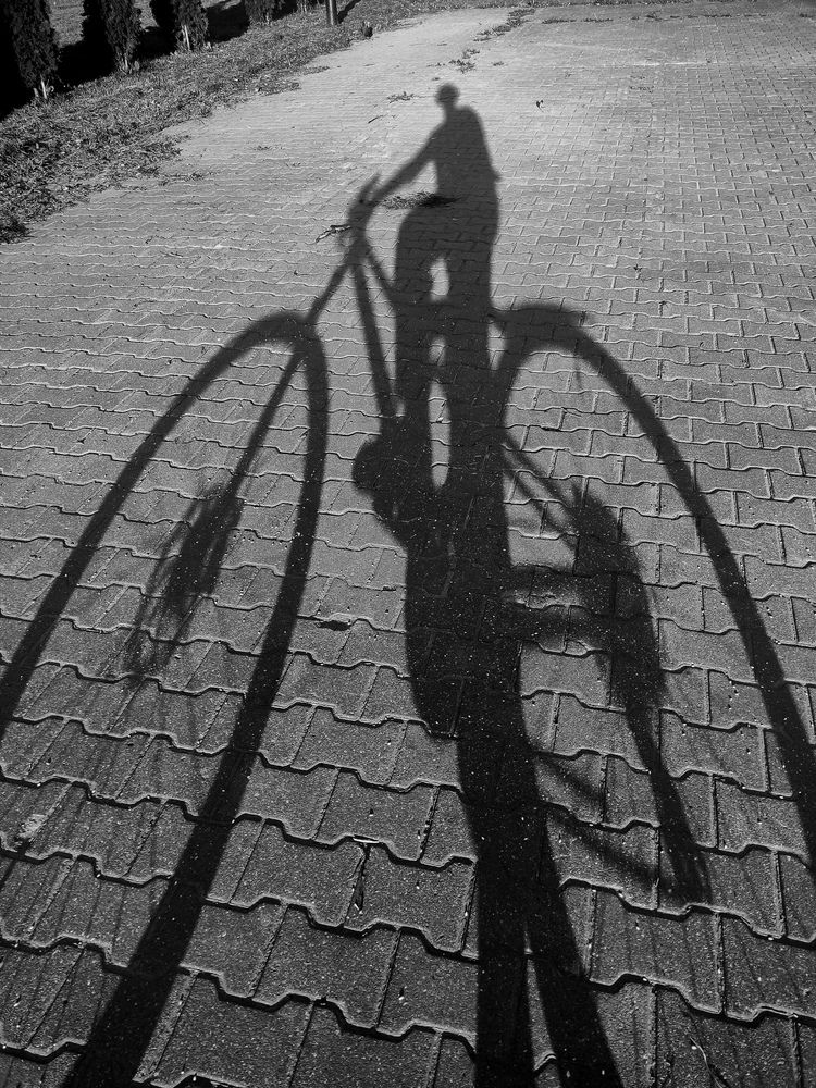 Фотография автора Наталья Бабицкая