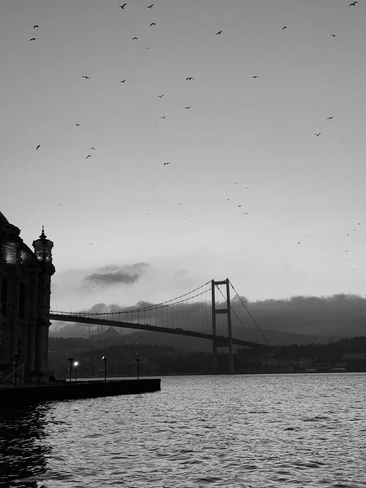 Photograph by Анна Бахтиярова