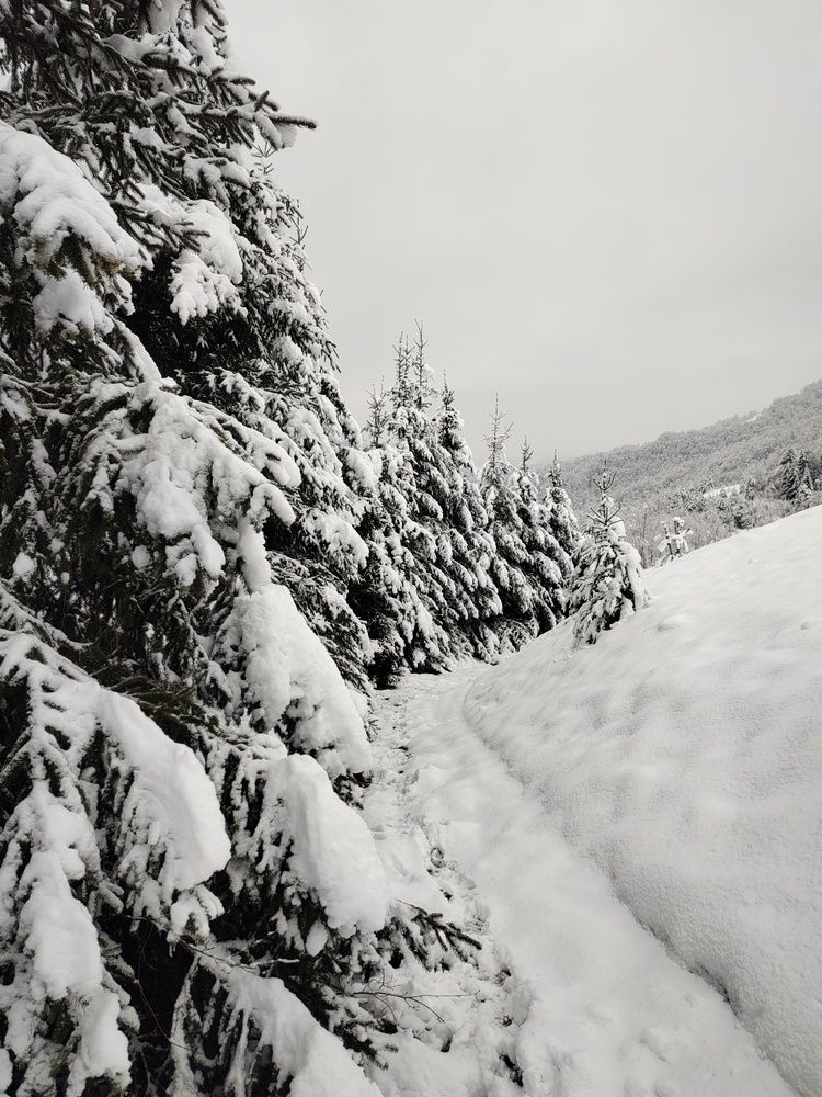 Photograph by Željka Miljić