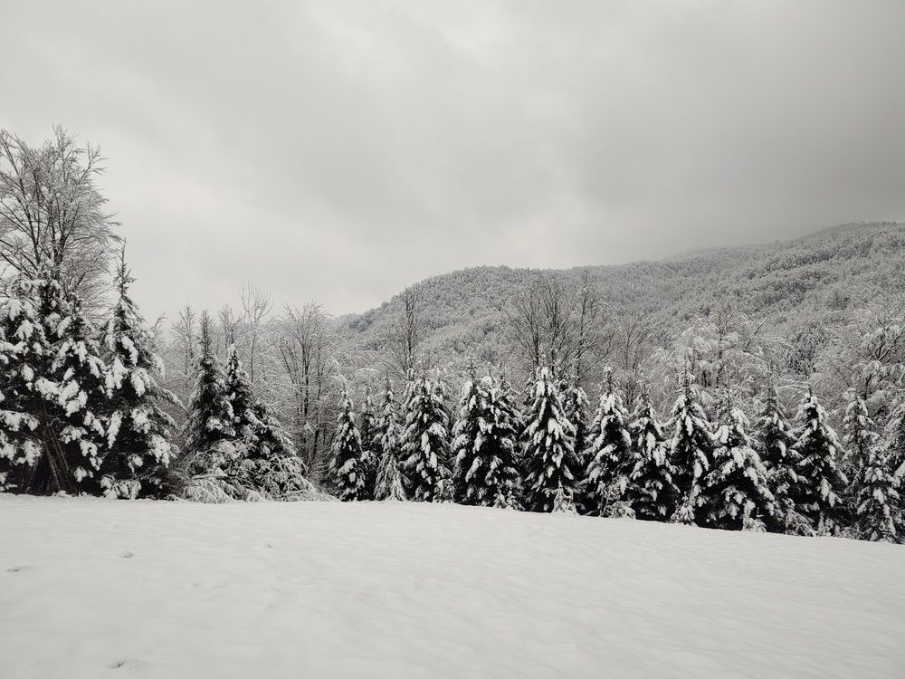 Photograph by Željka Miljić