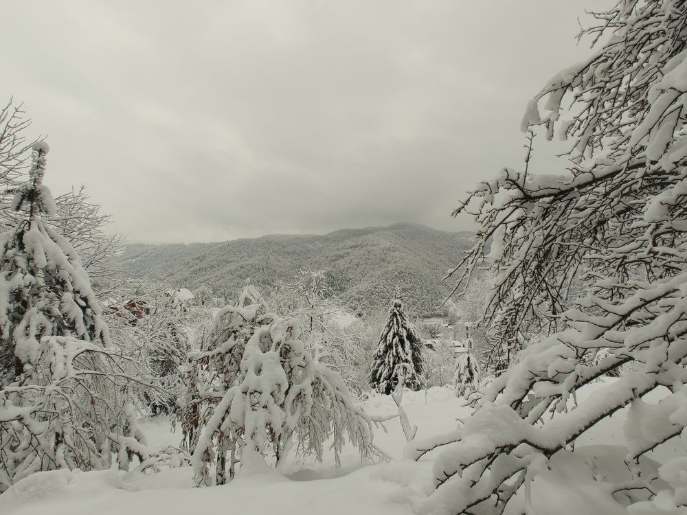 Snow fairytale