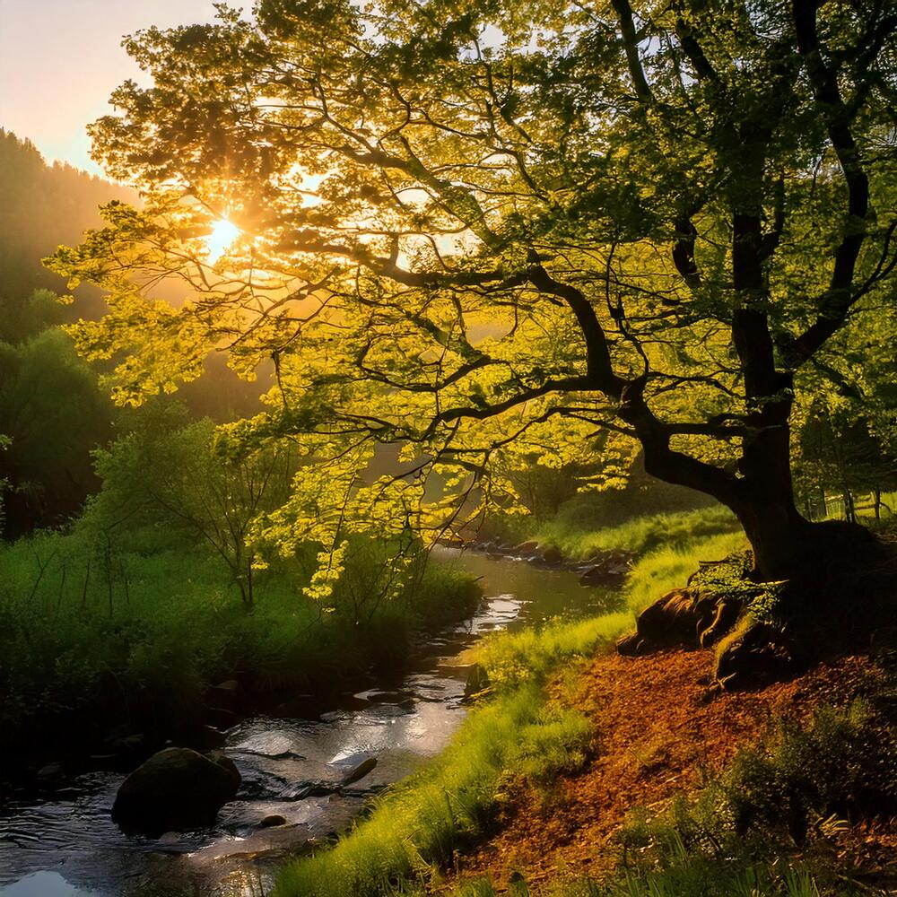 Photograph by Александр К