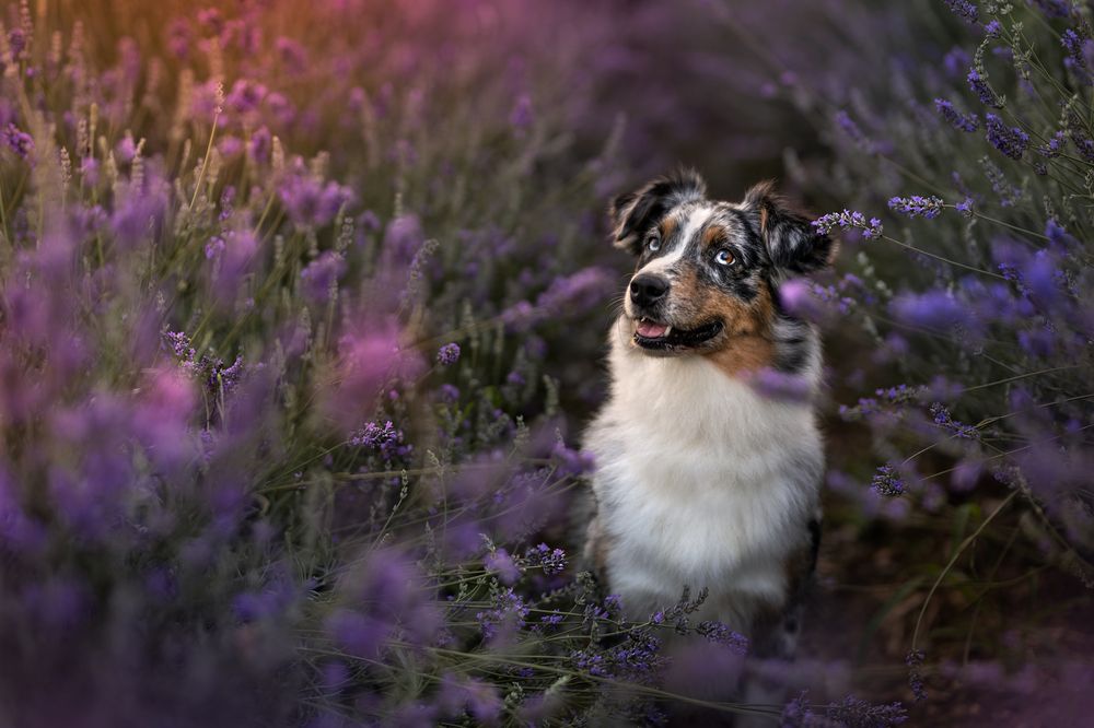 Photograph by Alessia Monaco