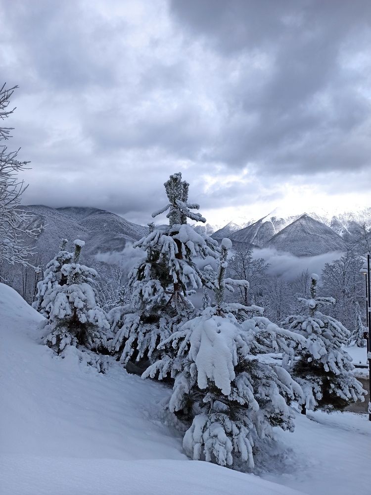 Фотография автора Ирина Кокшарова