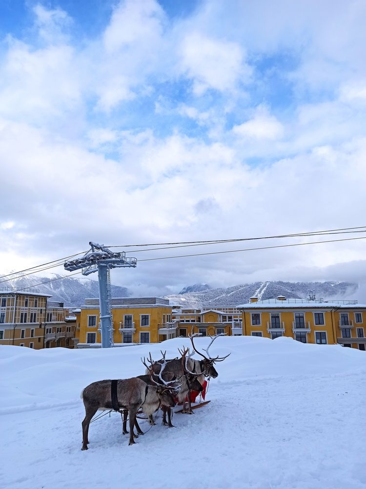 Фотография автора Ирина Кокшарова