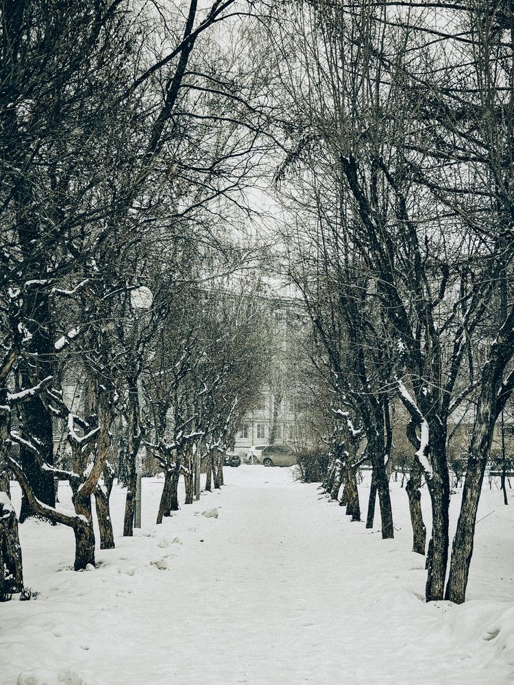 Photograph by Оксана Рогалева