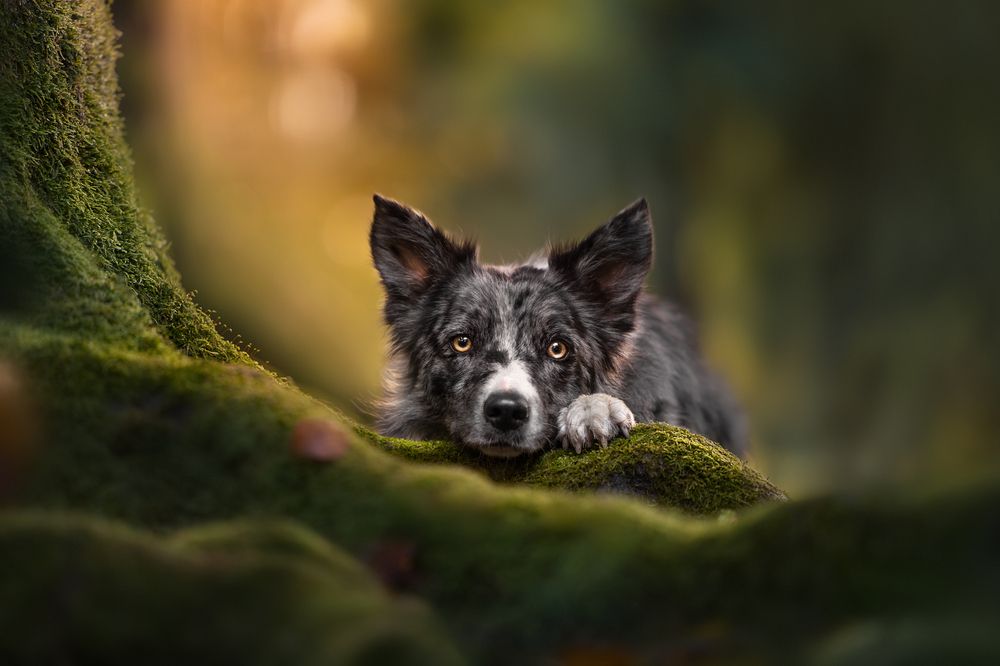 Photograph by Alessia Monaco