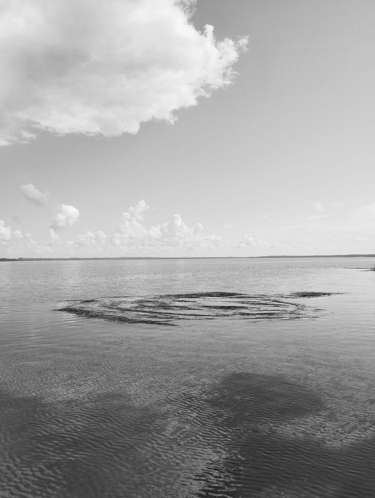 Фотография автора Наталья Боярина