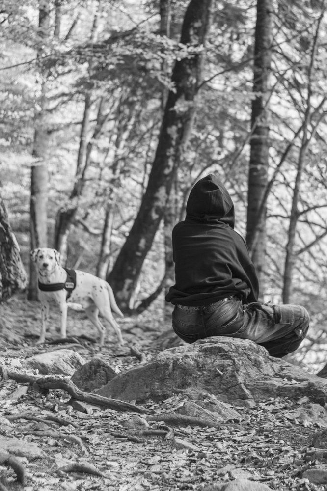 Фотография автора Евгений Цапенко